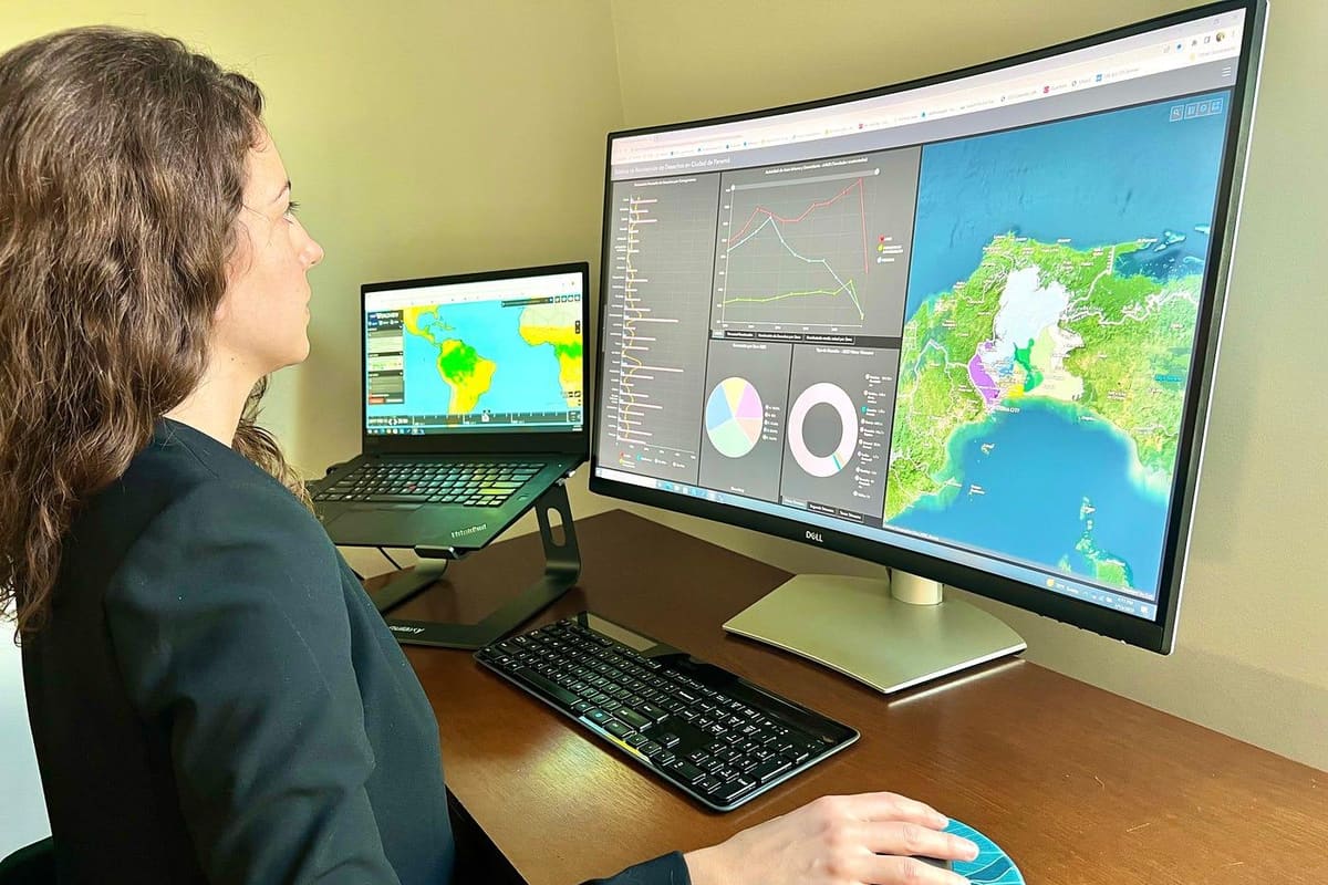 A professional reviewing a mapped property on a large monitor